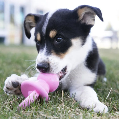 KONG Puppy Binkie – S/M | Speen-vormig Kauwspeeltje voor Puppy’s